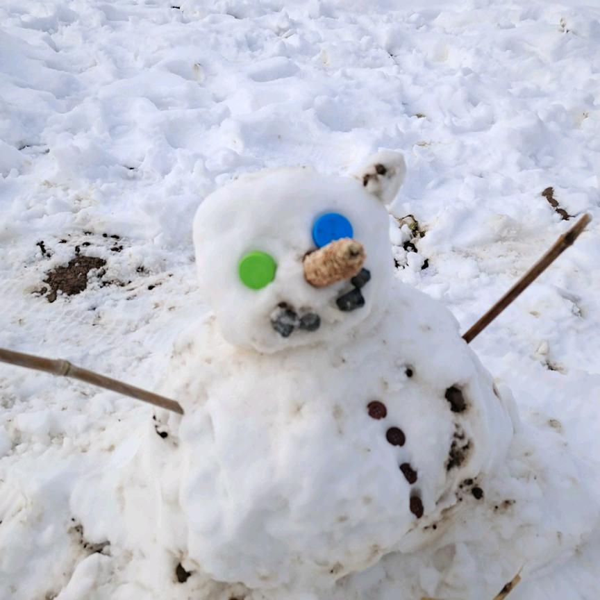 我的宝贝我来宠