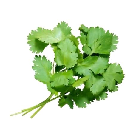 重生之我在香菜王国当国王