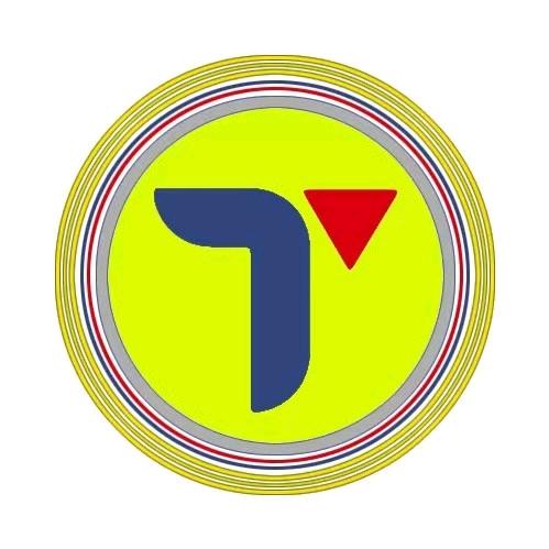 天成三元催化报价