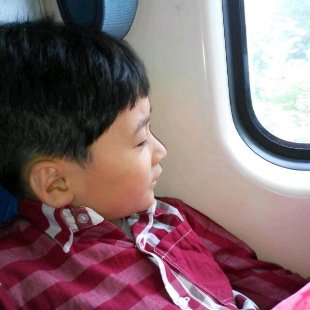 留固镇光辉通讯