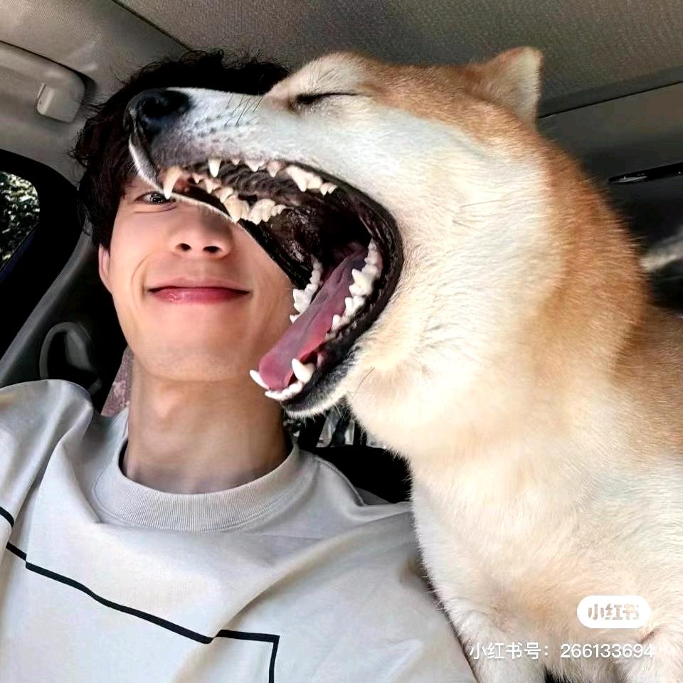 满山猴我腚最红