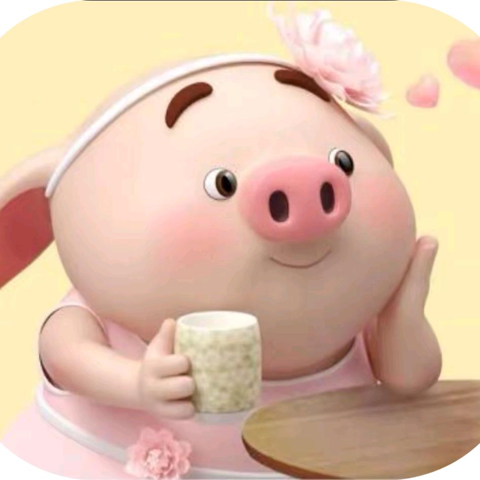 金🐷妈妈👩🏻
