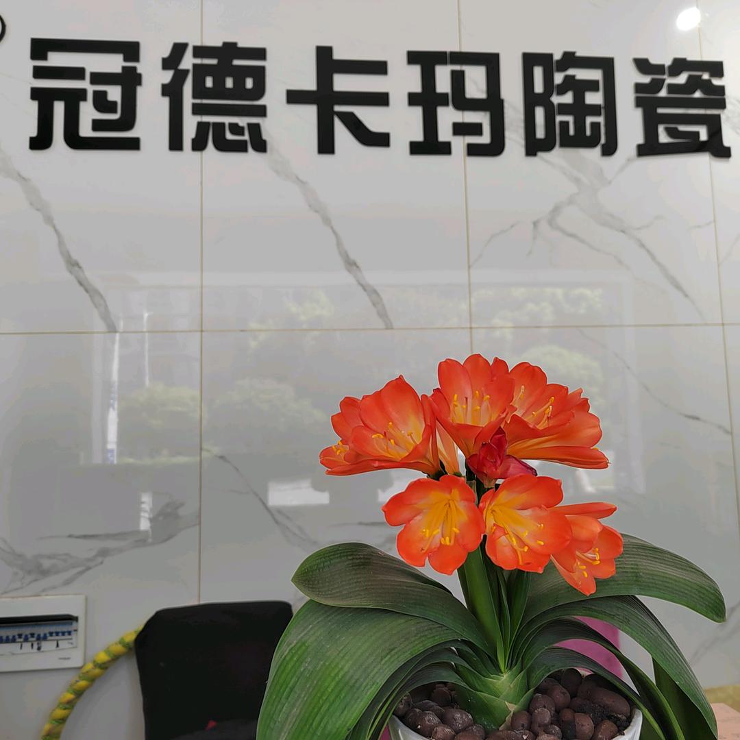 彭宝兰西充冠德卡玛瓷砖批发店