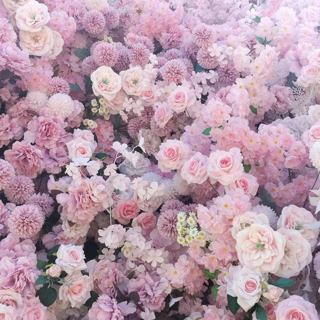 忘掉一切，从新开始