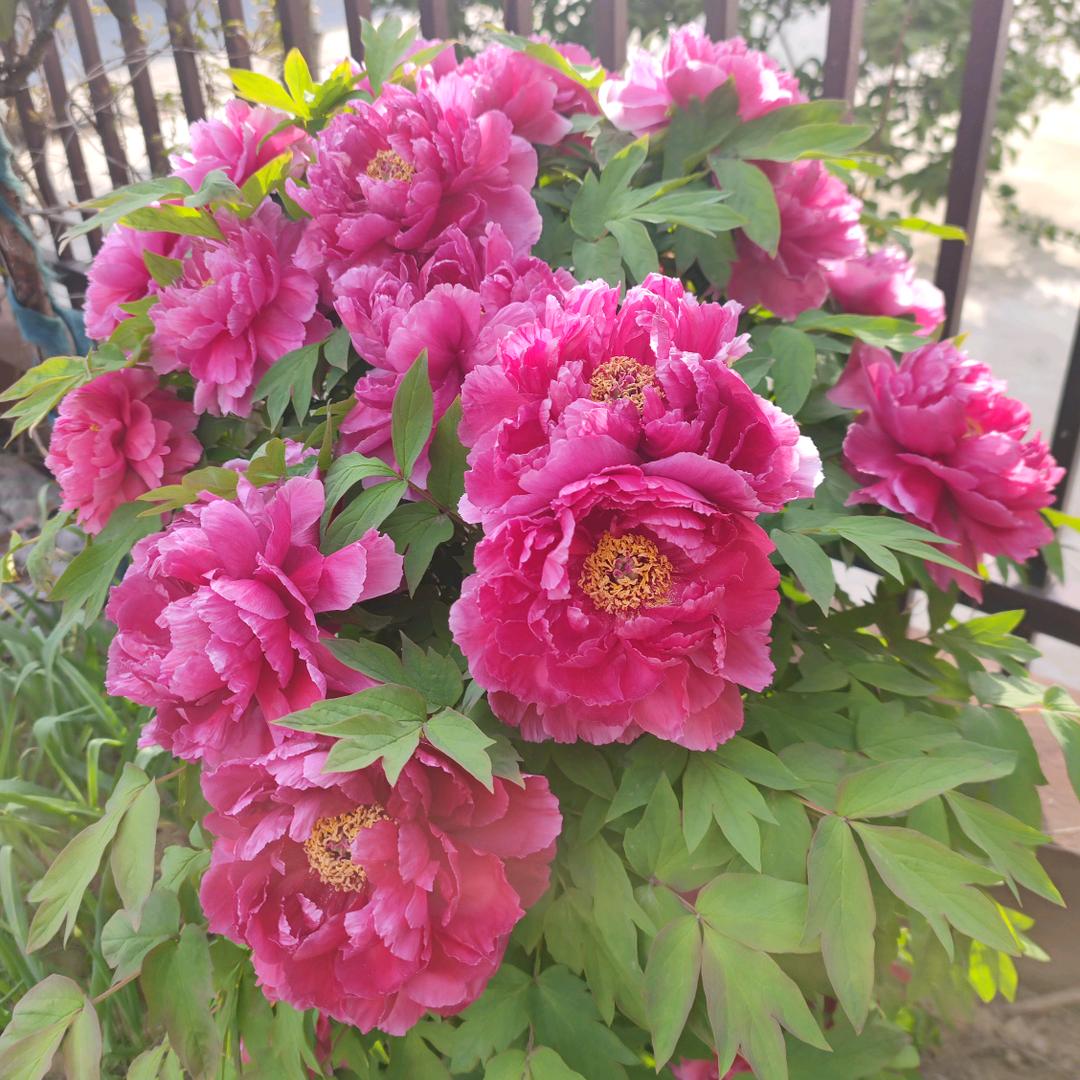 有你真好