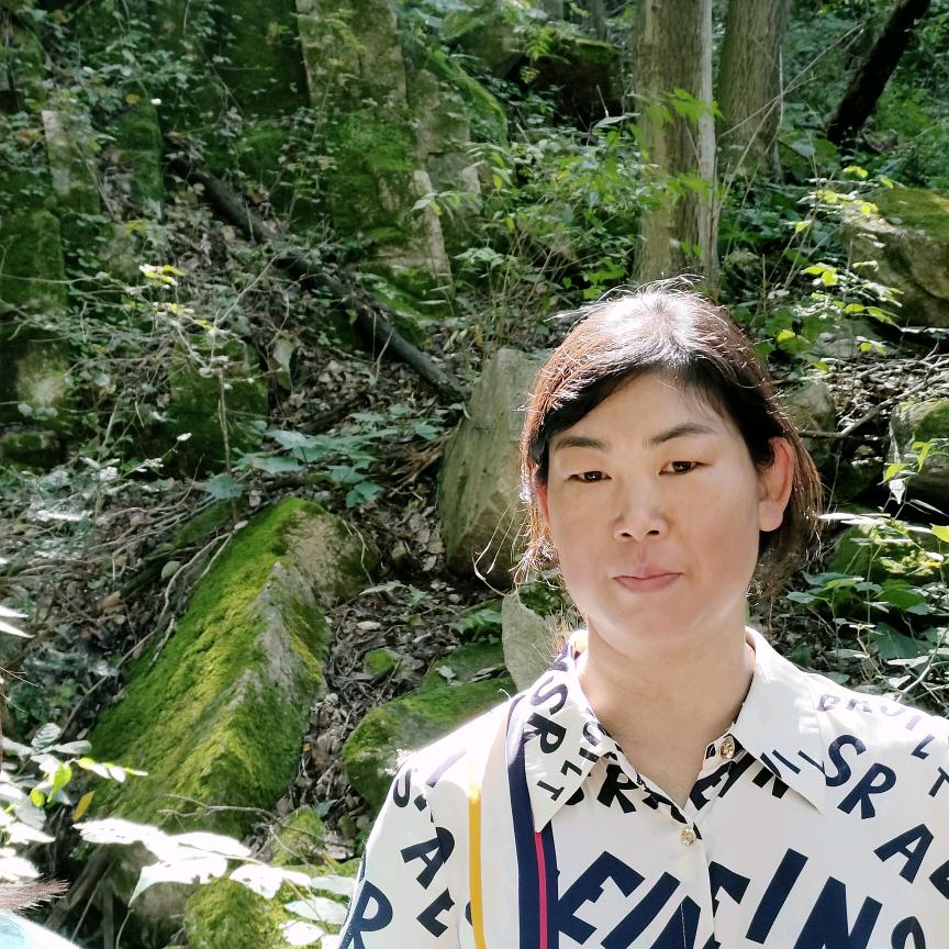 舞钢市台铃电动车,七星豹电动车