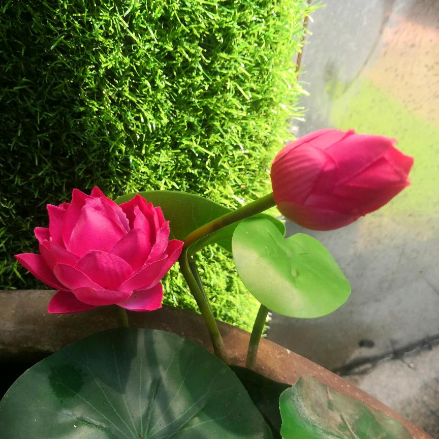 唐秀英吹鼓乐队一条龙服务