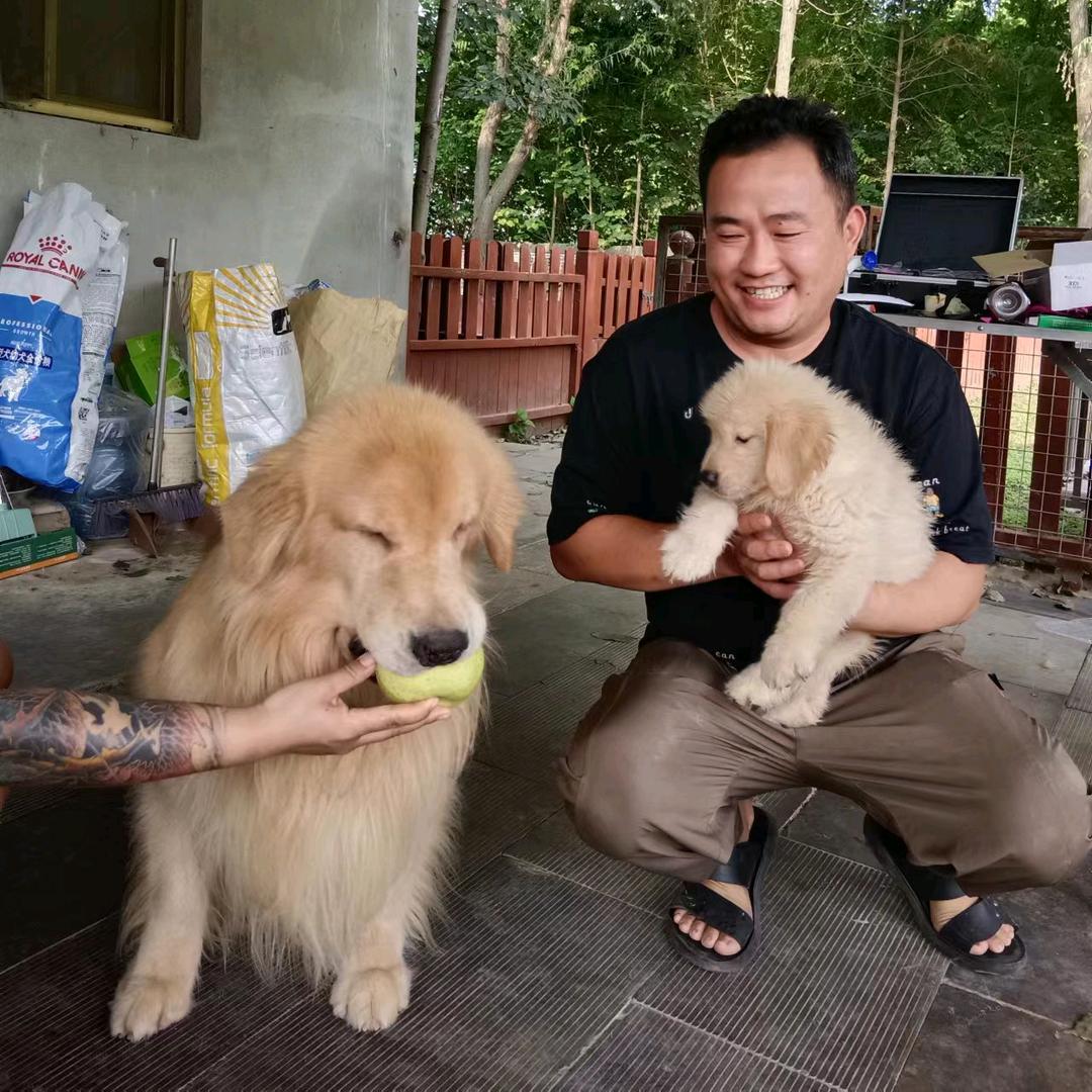 清风犬舍