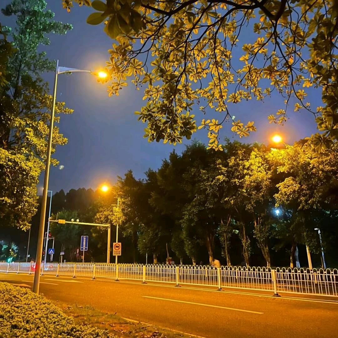 你说的啥