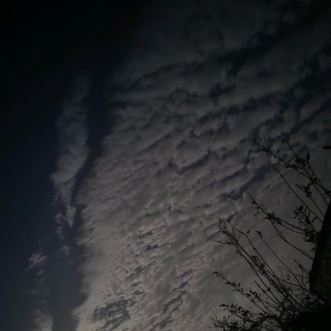 李先生喜欢唱歌