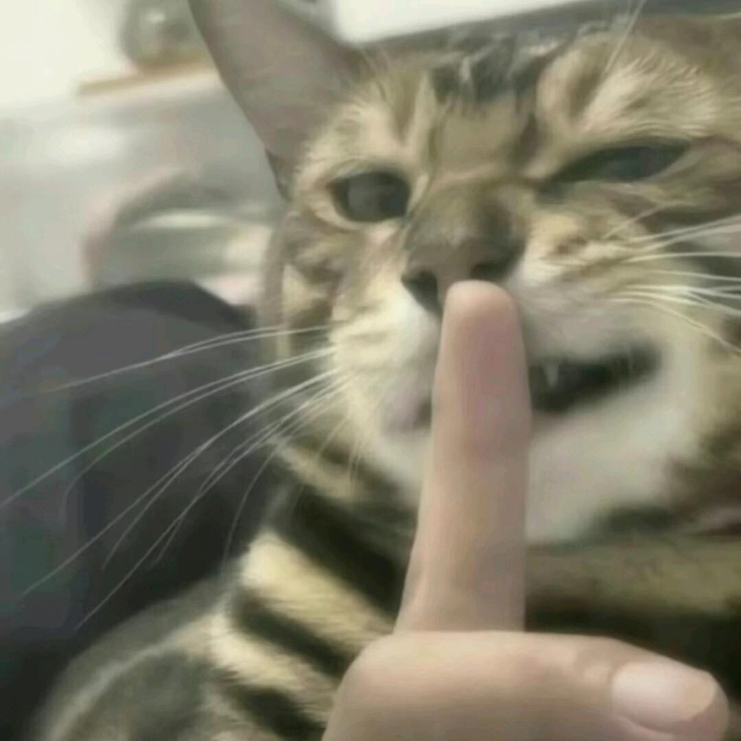 莱罗