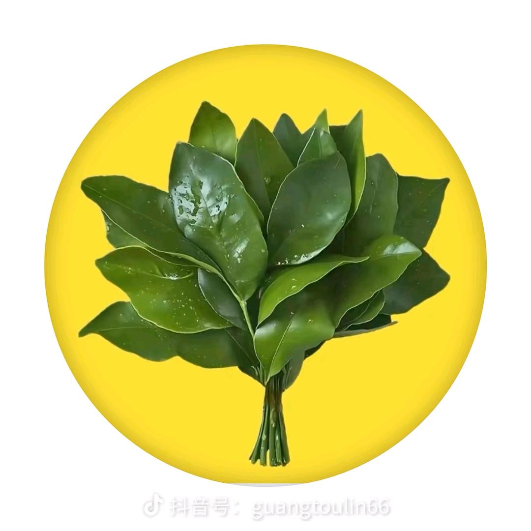 重启人生路