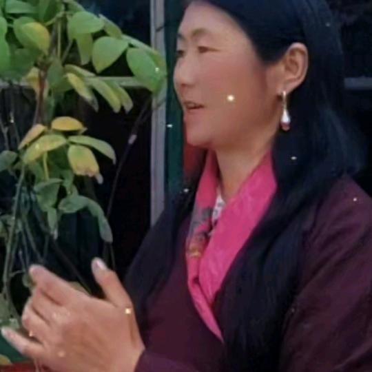 格桑🍀