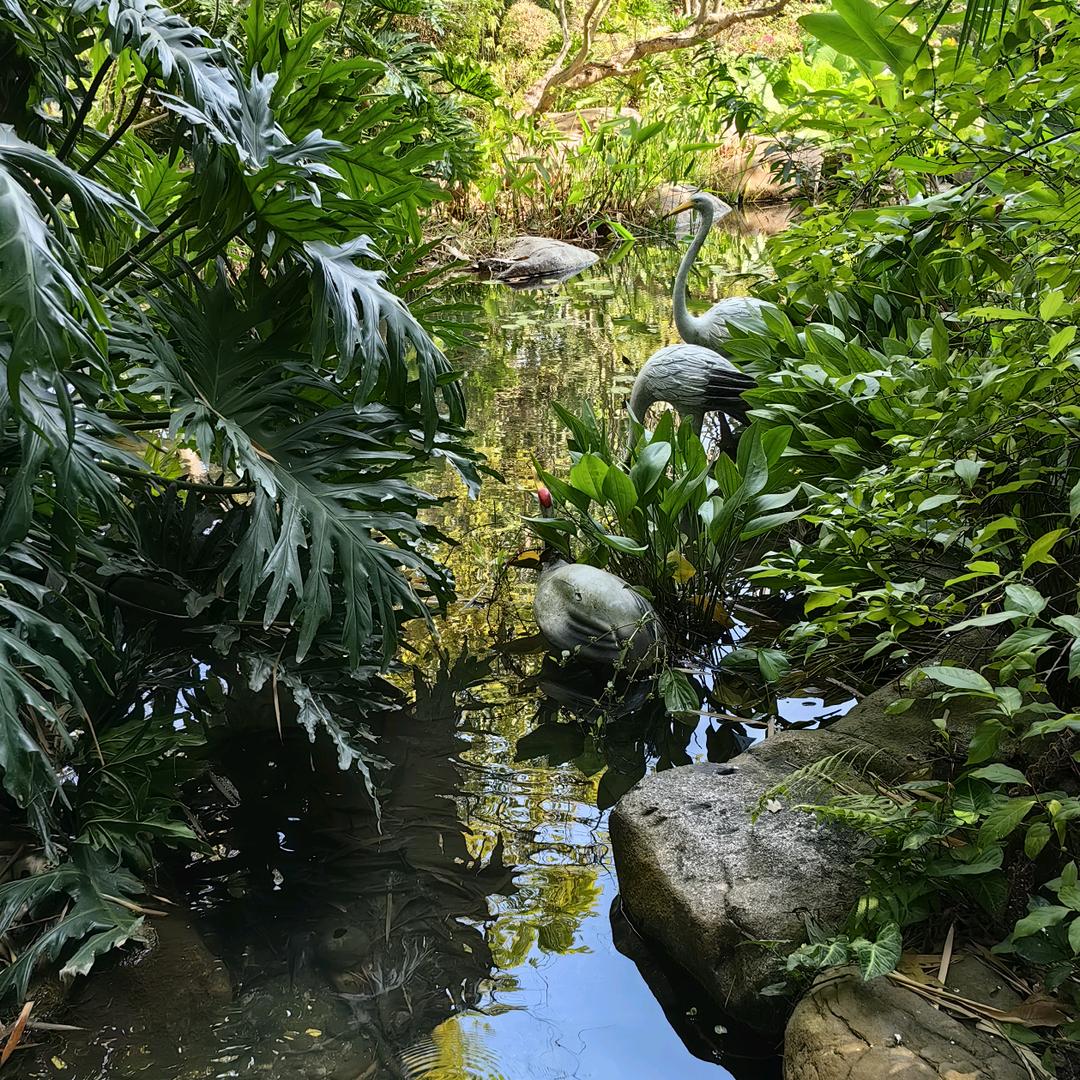 小赵总儿童玩具