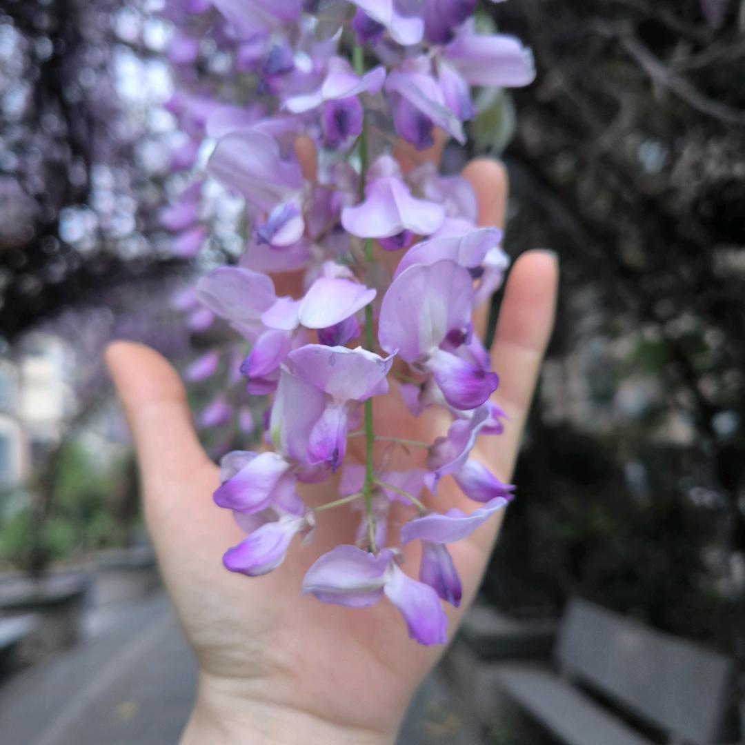 想想
