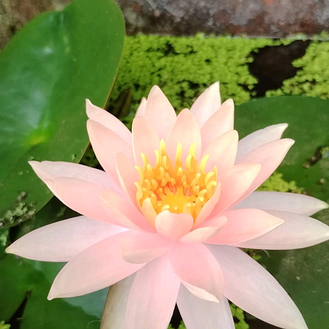老陈逗你玩