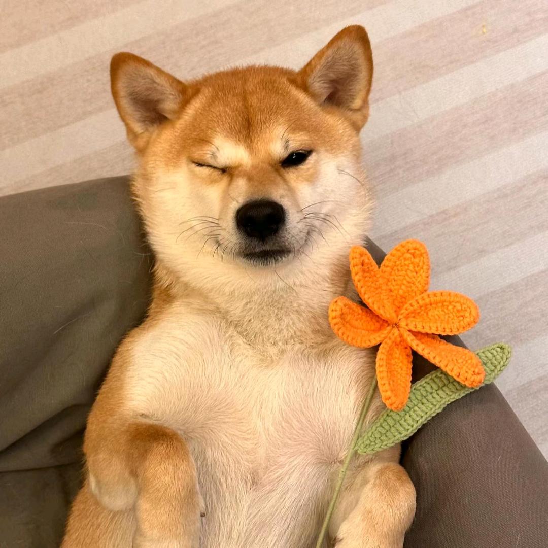 这有个老六