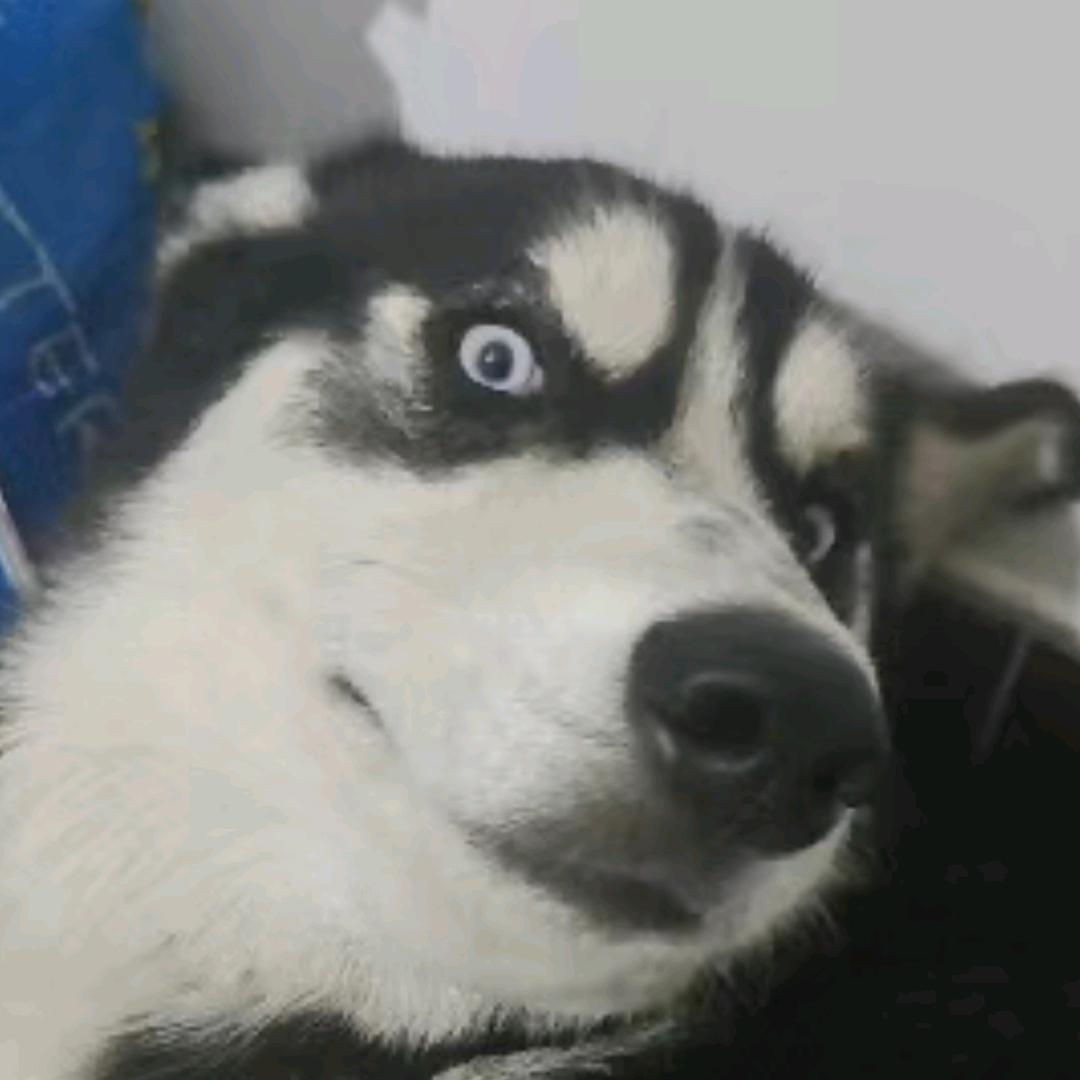 新的旅程