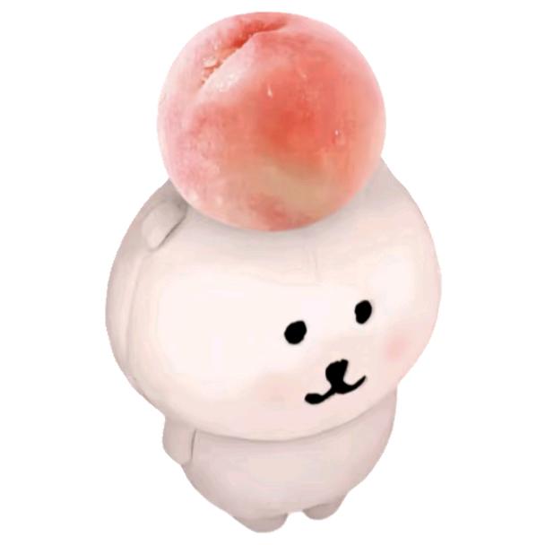 小续文
