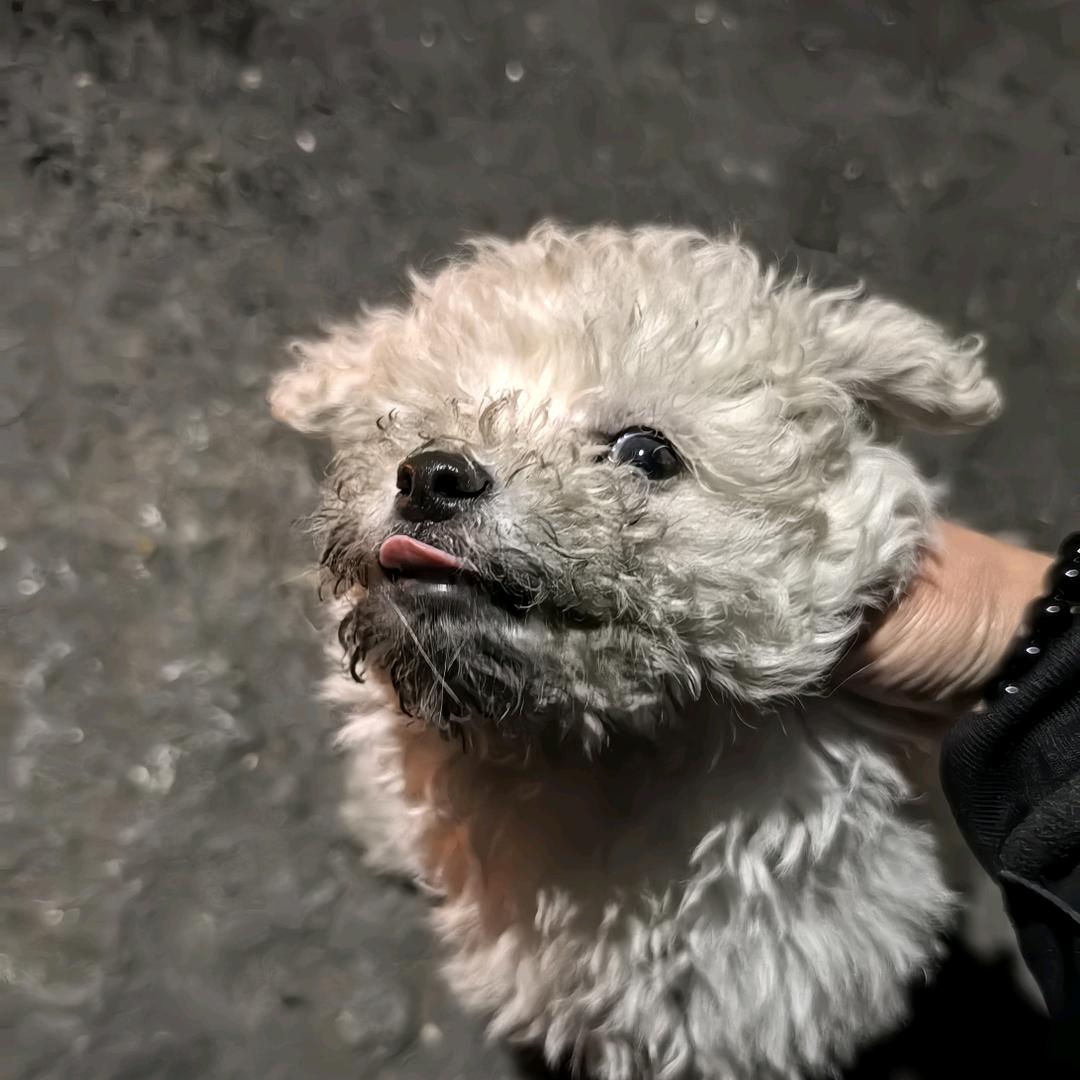 破领克的可乐🥤