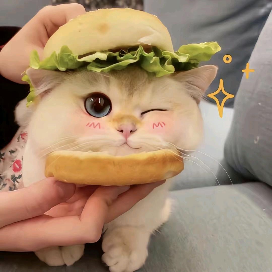 莉莉娜ʚʕ̯•͡˔•̯᷅ʔɞ