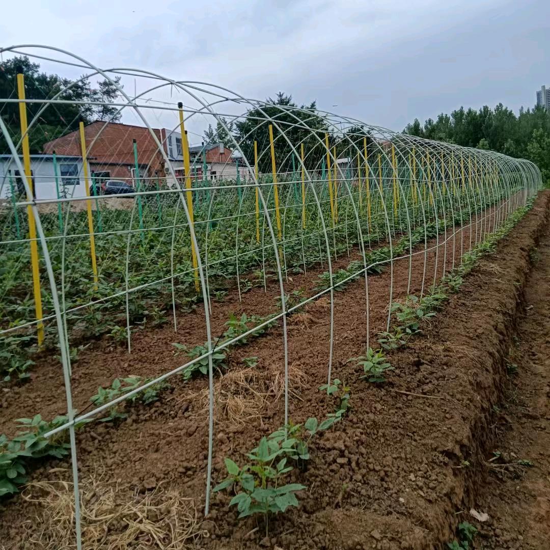 奇搜伟成农业农资