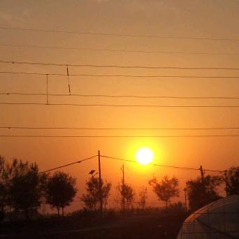 朋朋🔥（新人首播）浇个朋友