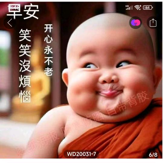 虎子。。。