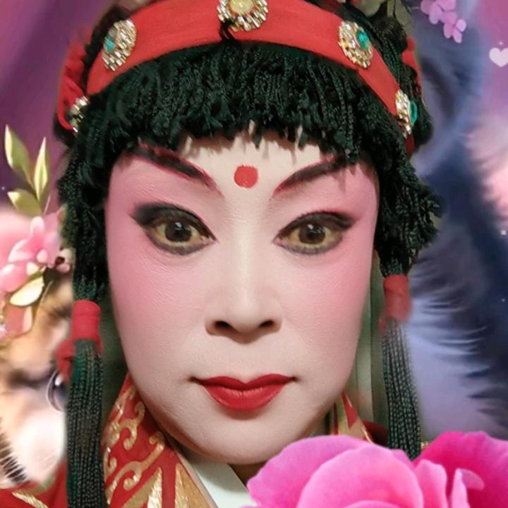 用随心所欲户8680341788153