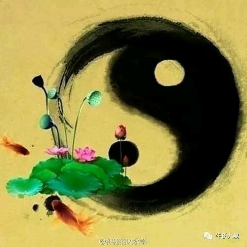 绿叶超市