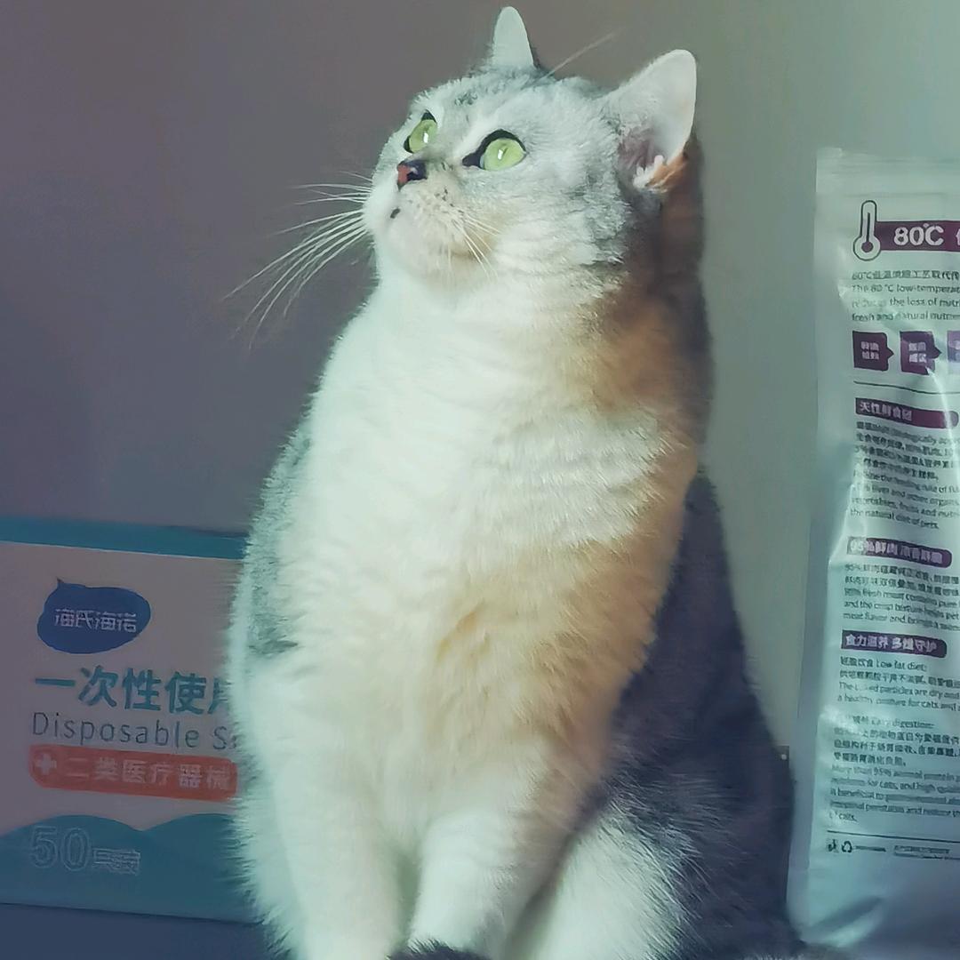 咚咚咚