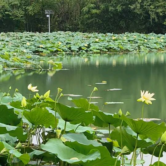 福满仓