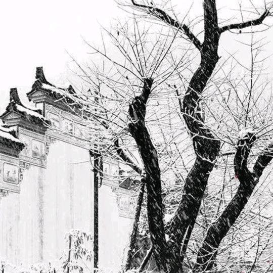 风止于你