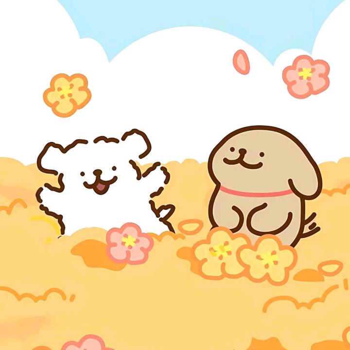 幽默的虾仁炒饭