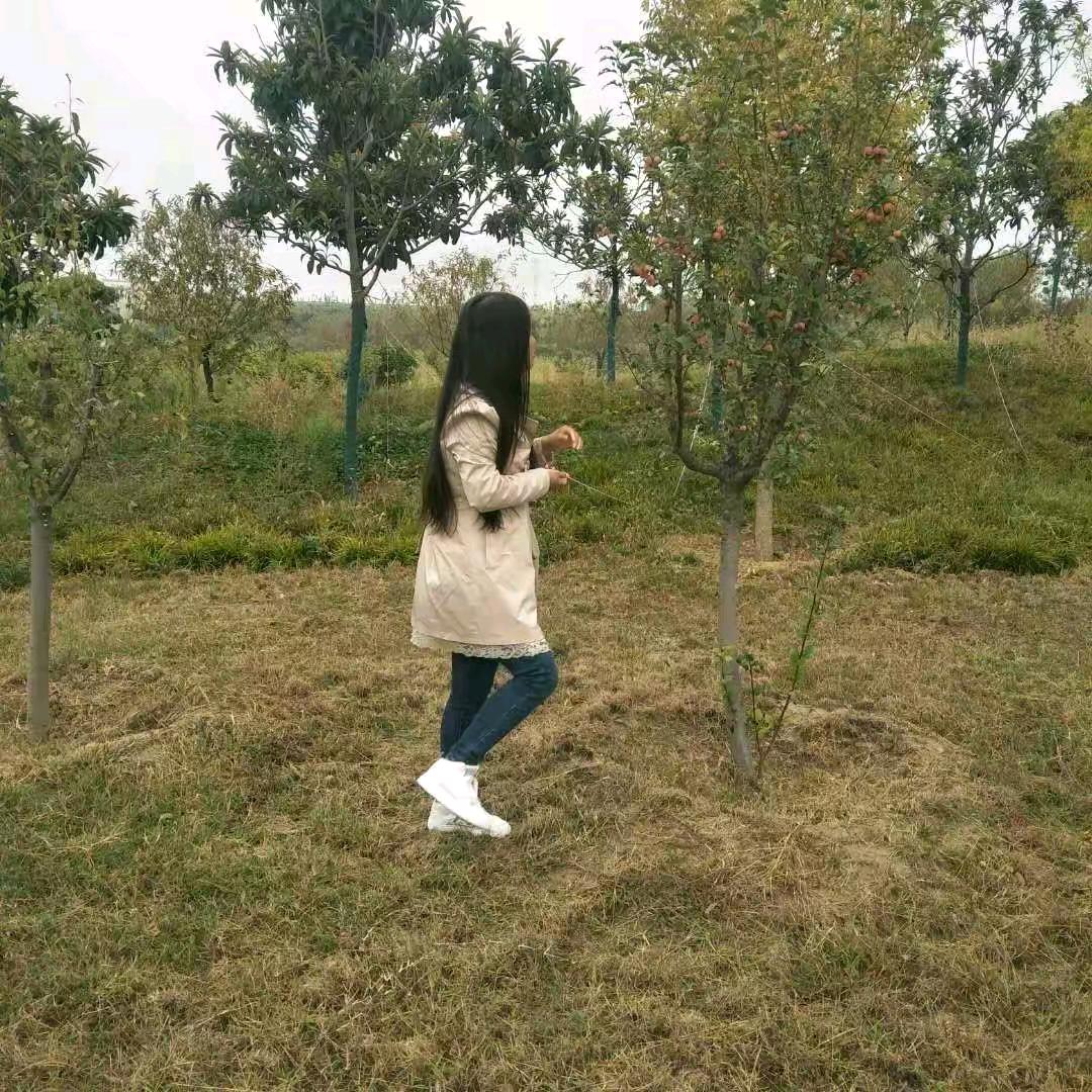 齐晶晶