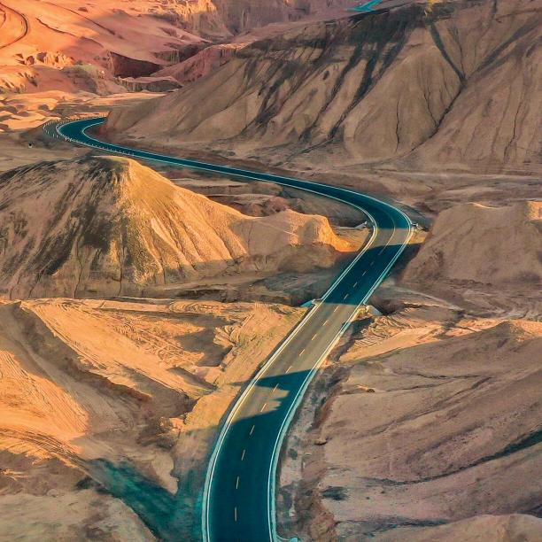 满地跑的小土鸡