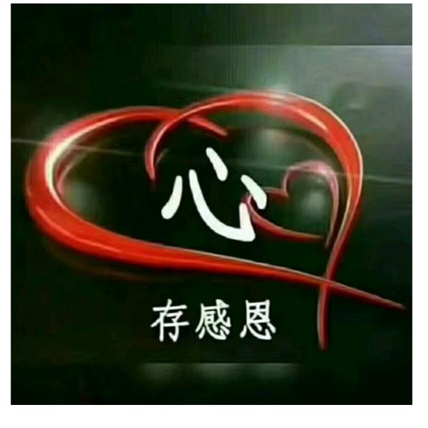 丛丛莲心