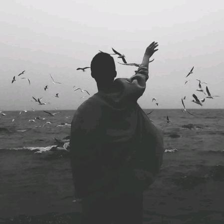 输了你 赢了世界又如何