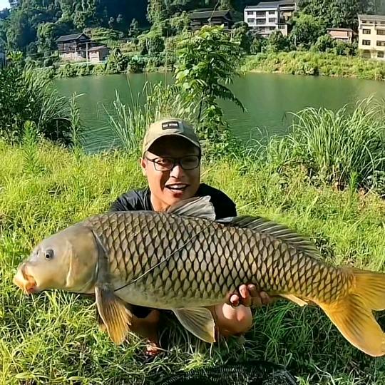 杨多余钓鱼🎣