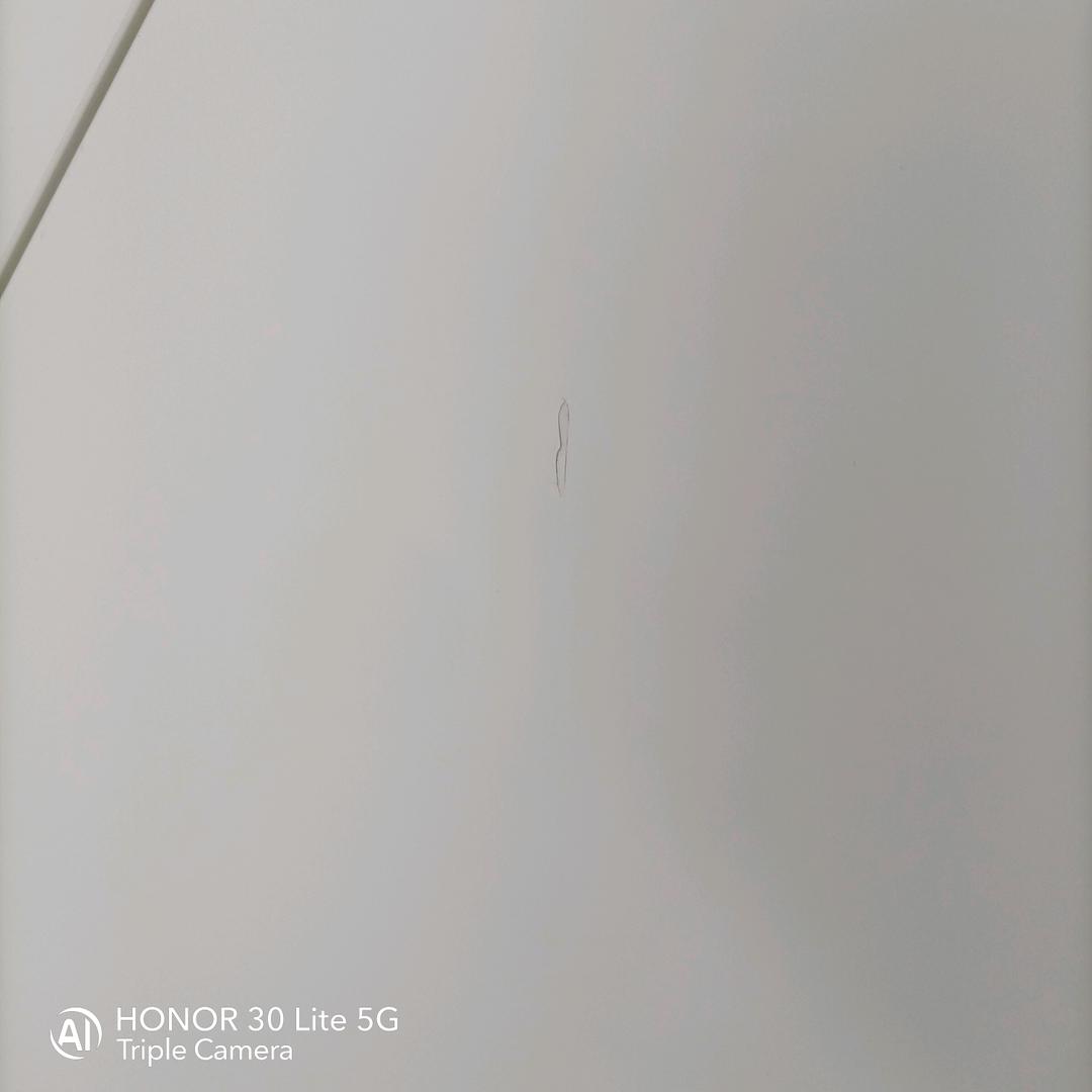 空心菜
