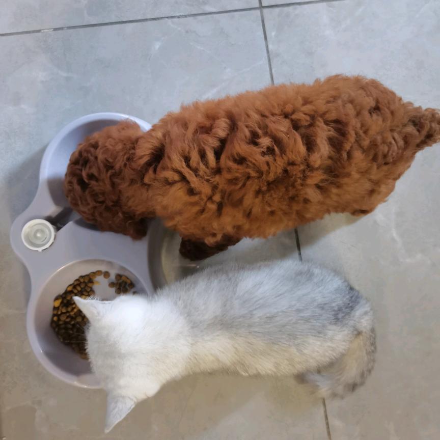 感恩遇见你