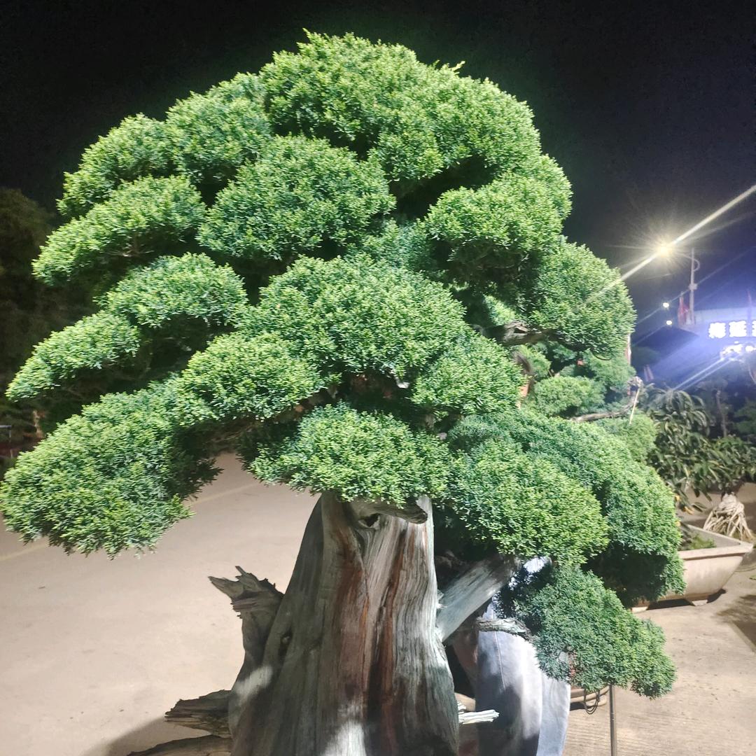 忘事清零
