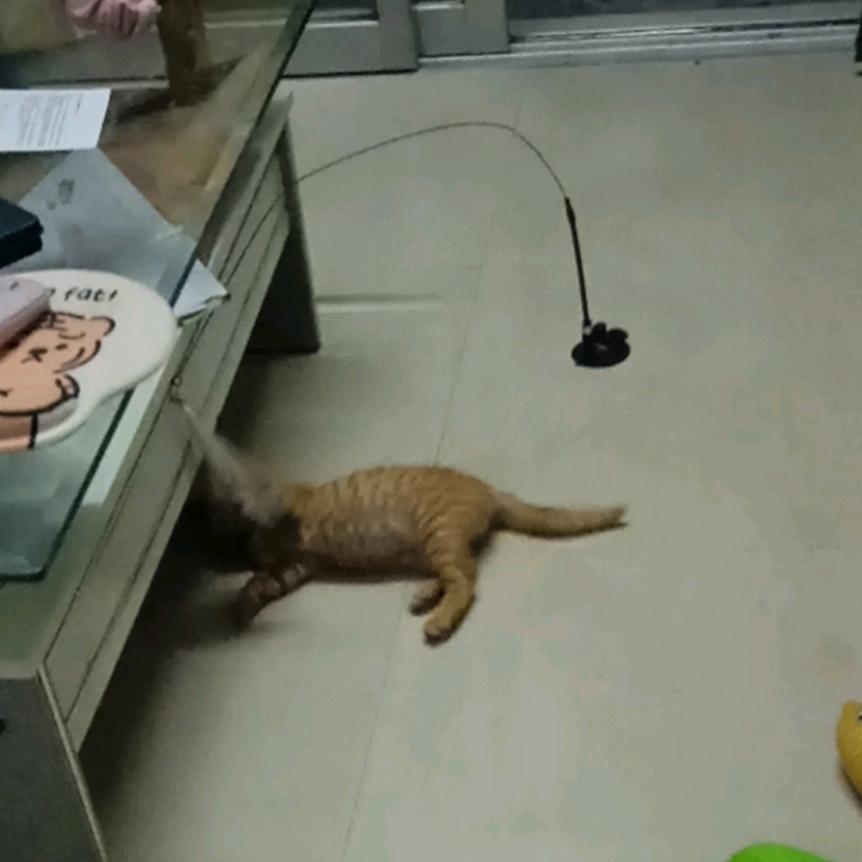 围巾塔