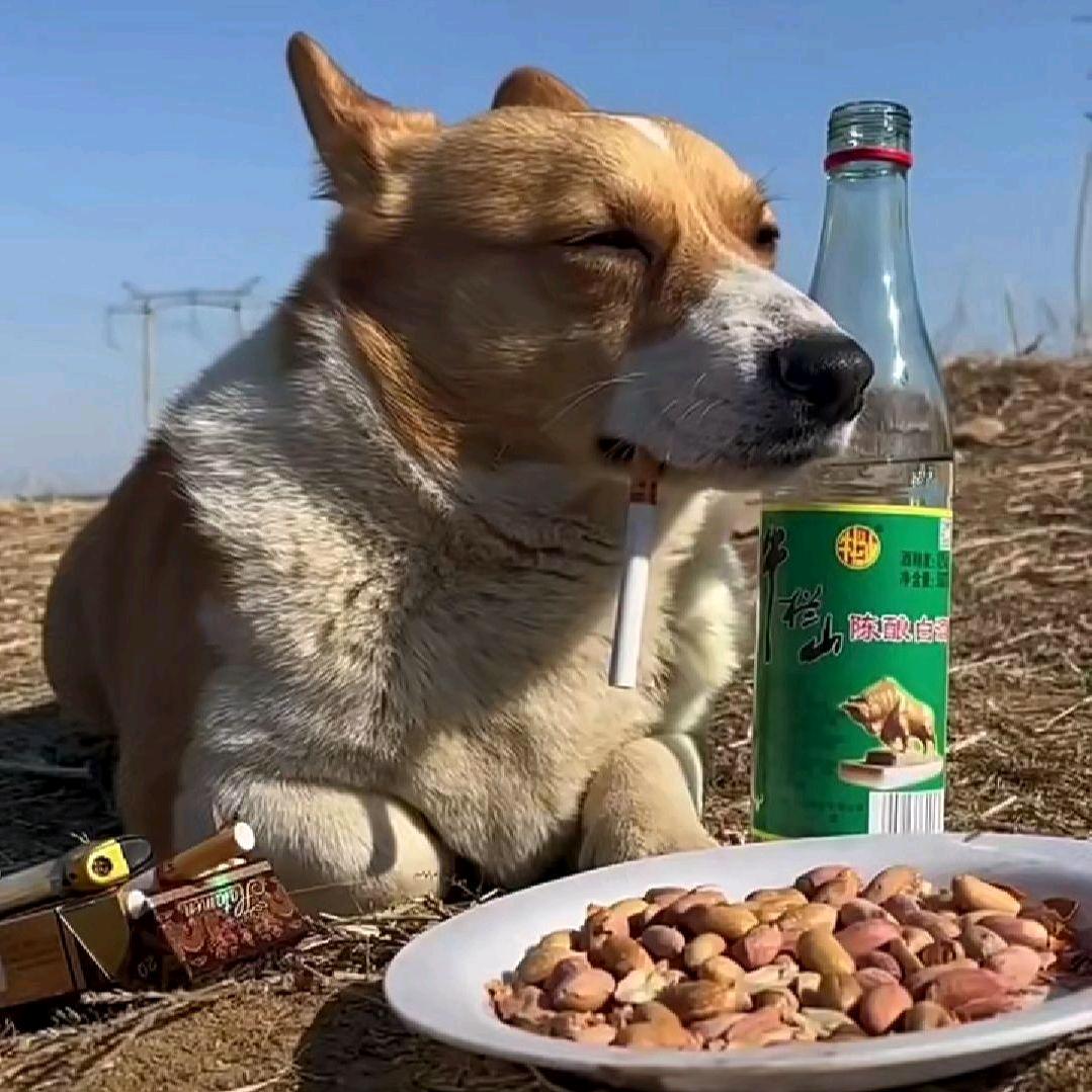 沃特玛跟你爆了.