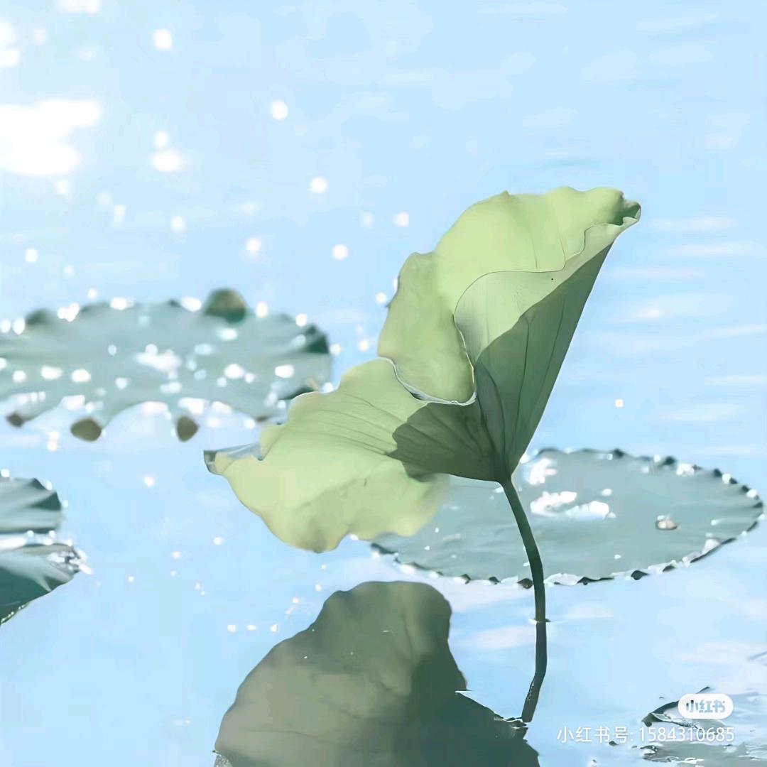 @春暖花开.