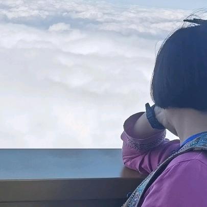 女人花