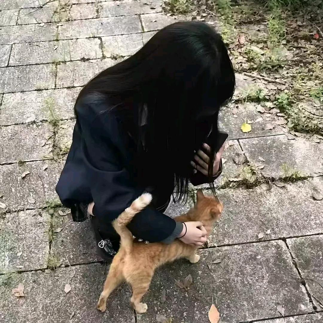 @落日与鲸
