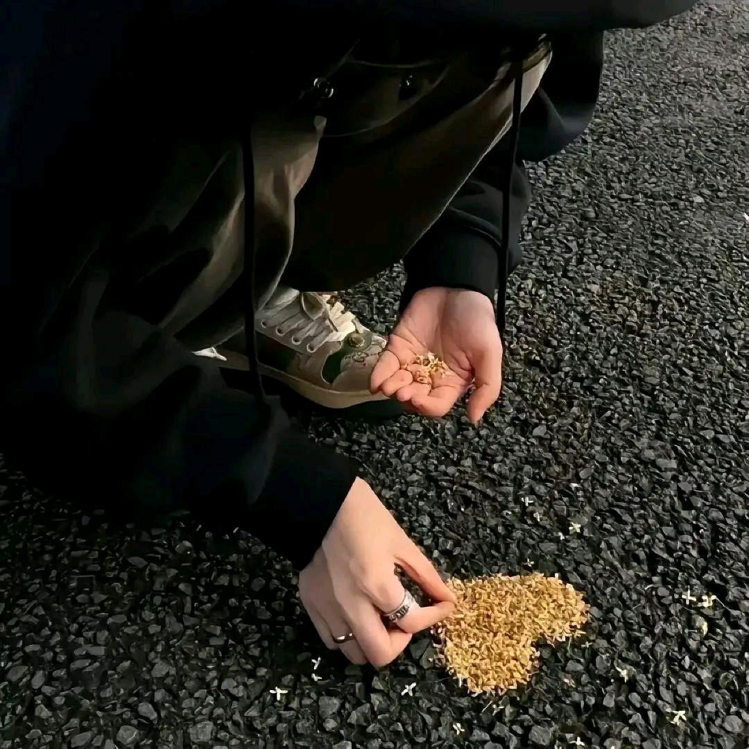 青谏