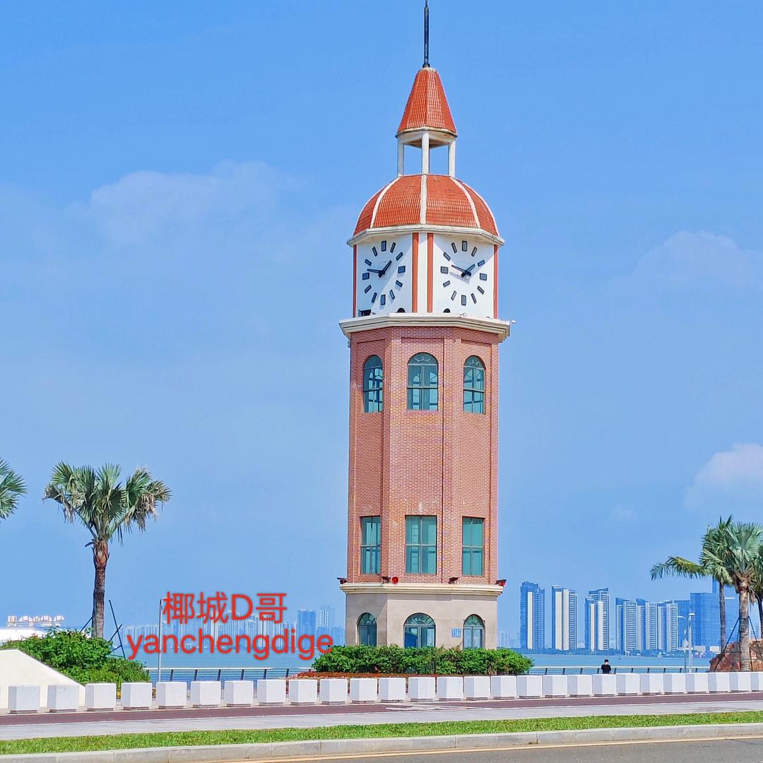 椰城D哥