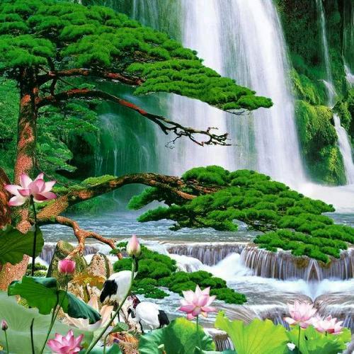 晨曦